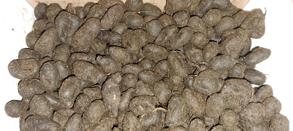 Lamakot, Superdünger, Pflanzenzucht im Garten und Balkon