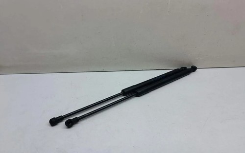 BMW 3 Touring E91 Vordere linke Motorhaubendämpfer 7129190 3.00 Diesel 33679829