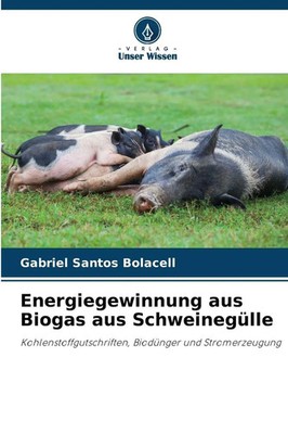 Energiegewinnung aus Biogas aus Schweinegülle | Gabriel Santos Bolacell | Buch