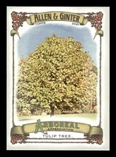 2021 Topps Allen & Ginter Arboreal Appreciation #AA-14 Tulip Tree E029