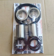 Busch R5 RA 0160, 0202, 0250, 0302 rotor service kit. Free shipping.