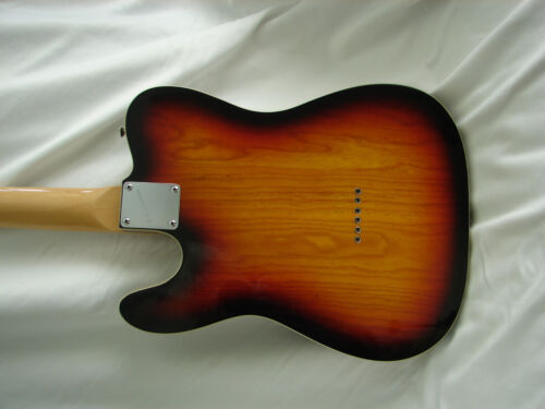 Bill Lawrence Swampkaster T Sunburst 2 differnt pickup configurations incl.L@@K! - Picture 3 of 8