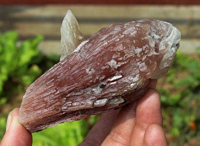 AAA Rare NATURAL New Find Unique skeletal Elestial QUARTZ Crystal Point Specimen