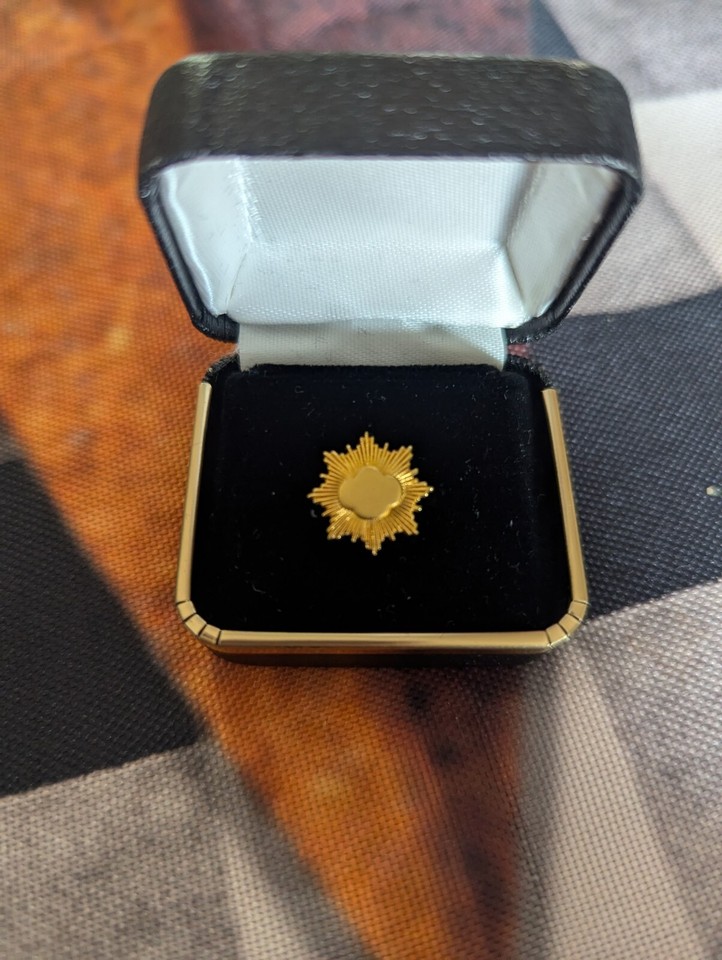 GIRL SCOUT GOLD AWARD PIN GOLD FILLED eBay