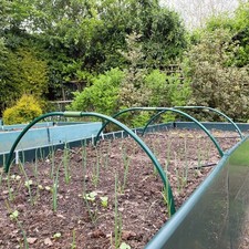 50cm / 100 cm High Garden Hoops Aluminium for creating tunnels small high hoops