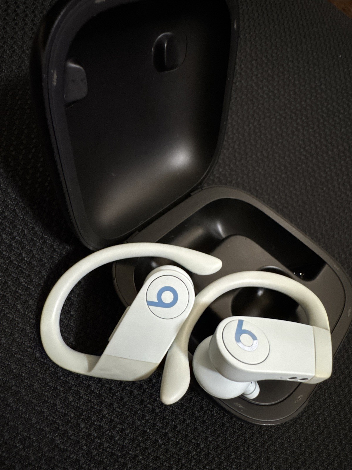 Wireless Earbuds By Beats By Dr. Dre Powerbeats Pro In Earphones Sky Blue