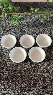 Set di 5 piatti vintage Charlie Bighams bianco cermer ramekin/torta.