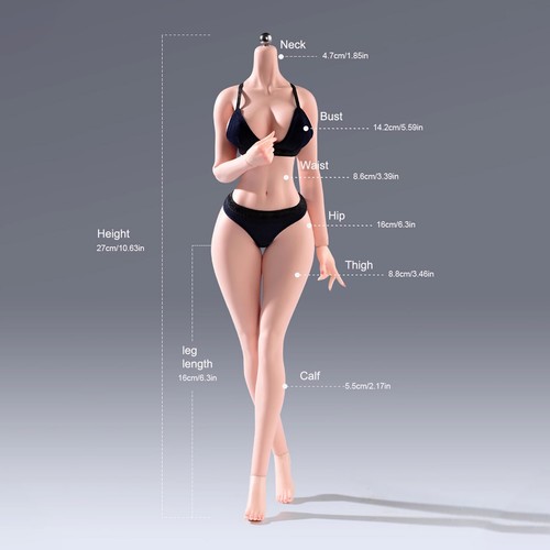 YM501 BJD 1/6 Female Large Bust Flexible Slim waist plump hips Body F 12" Figure - Imagen 10 de 24