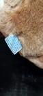 Bild 6 von 7