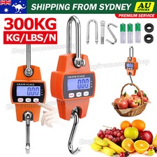 Mini Crane Scale Portable LCD Digital Electronic Hook Hanging Scale AU