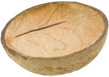 Coconut Cup Flat Base Bird Parrot Craft Toys Pet Tiki Hawaii Luau Party candle