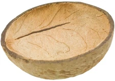 Coconut Cup Flat Base Bird Parrot Craft Toys Pet Tiki Hawaii Luau Party candle 