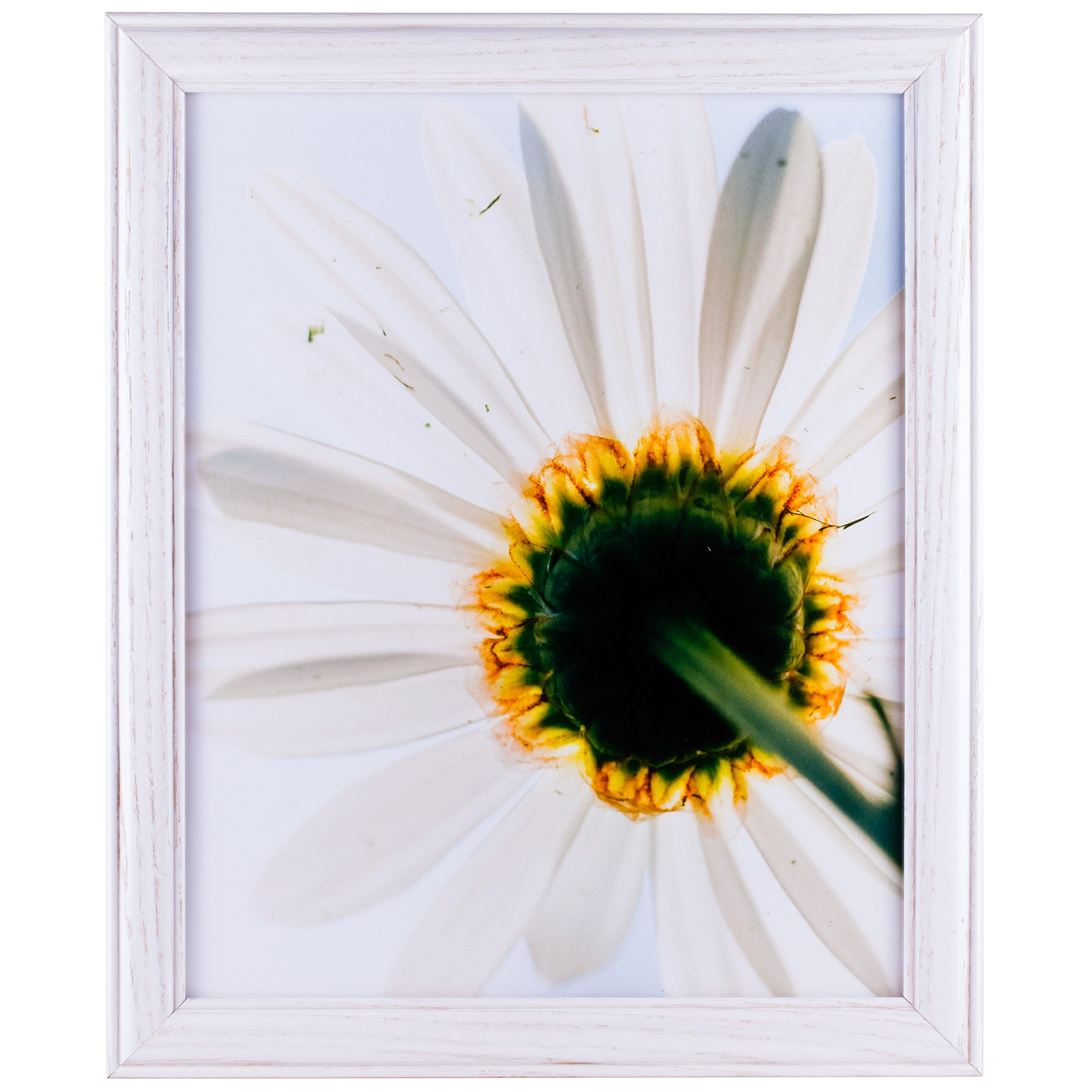 Wiltshire 236 White Hardwood Picture Frame 4x10 Inches Simple Design