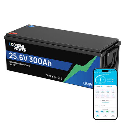 24V 300Ah LiFePO4 Tiefzyklus Batterie Bluetooth 7680Wh 200A BMS Solar Wohnmobil