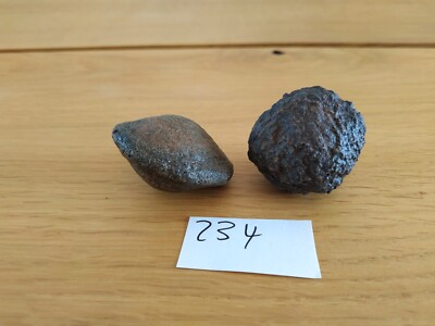 234 Moqui Marbles -Lebende Steine - wunderschönes  Paar - aus Utah/USA- Nr. 234