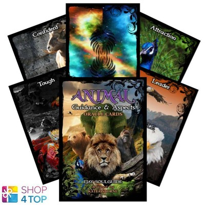 ANIMAL GUIDANCE UND ASPECTS ORAKEL KARTEN DECK SOLARUS BY KATE OSBORNE NEU