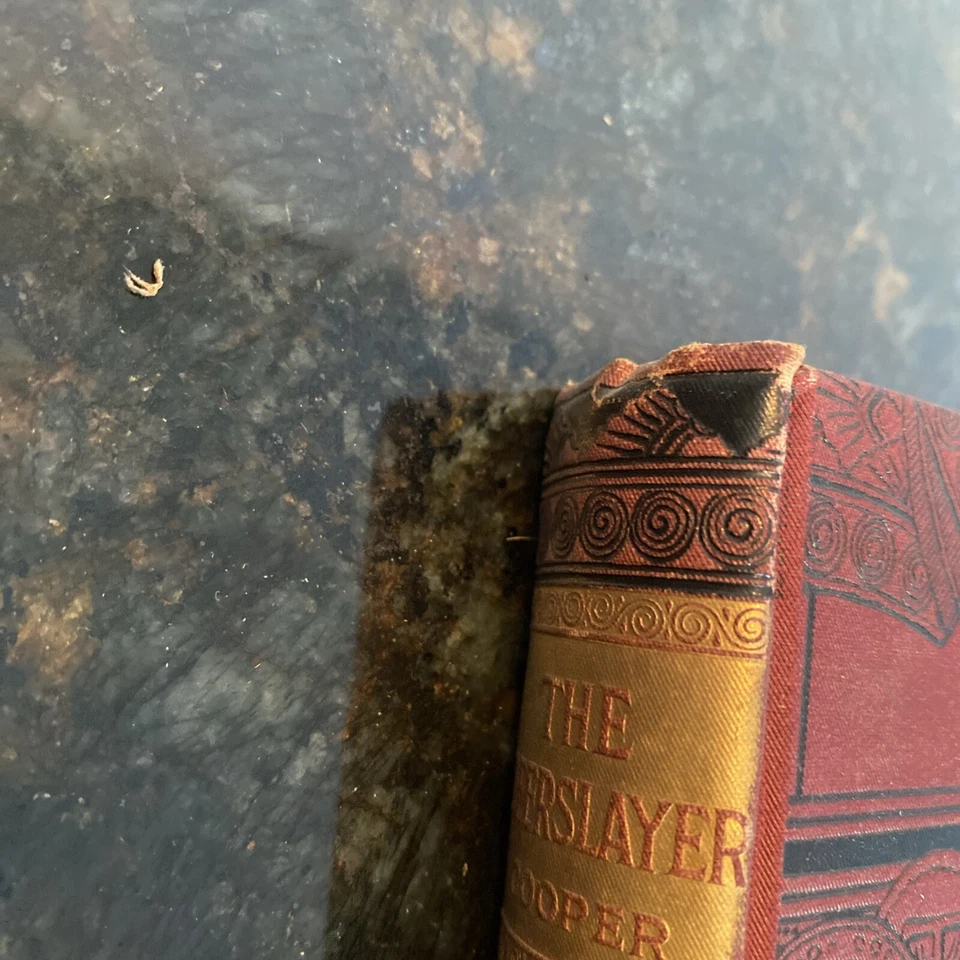 THE DEER SLAYER A TALE BY J. FENIMORE COOPER HC 1880’s Sterling Deerslayer - Image 4 of 4