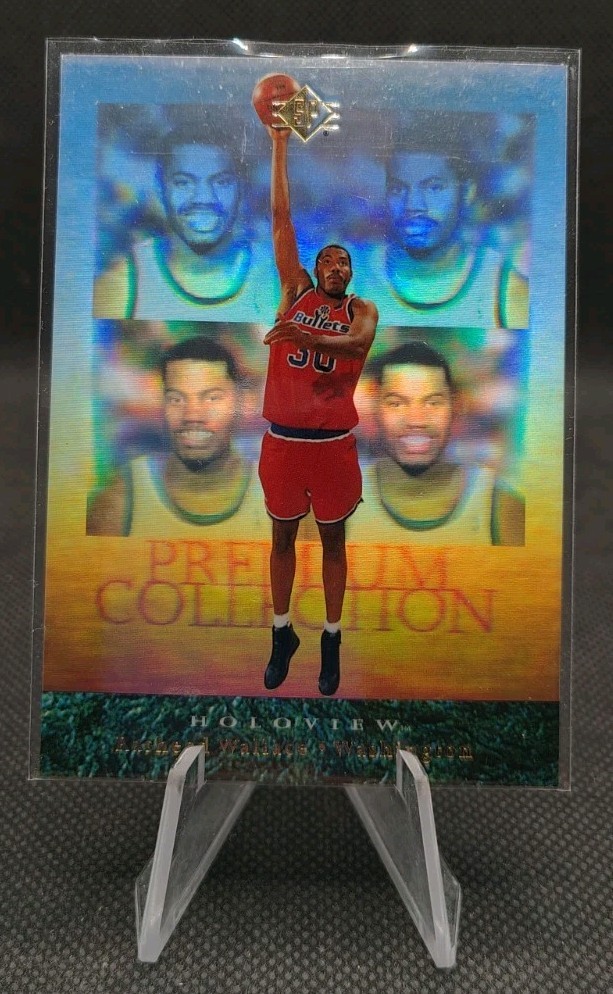 1996-97 Upper Deck Holoview Premium Collection #40 Rasheed Wallace RC Washington