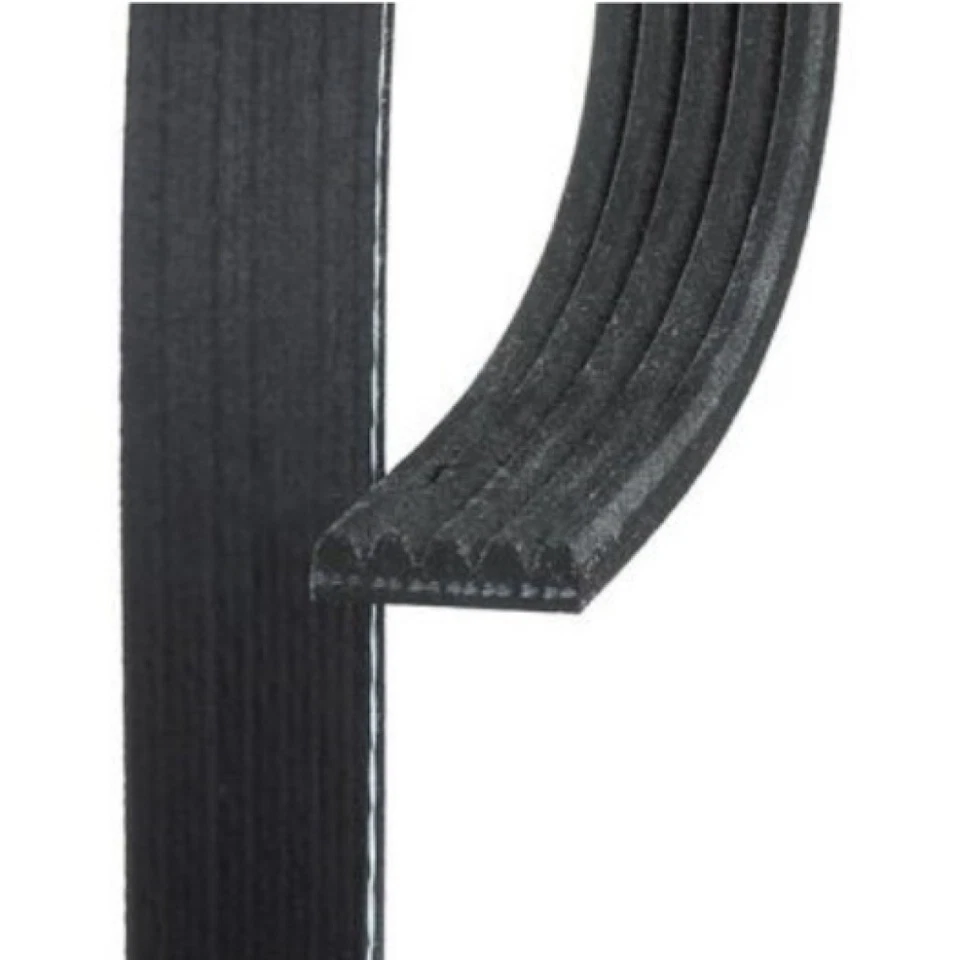 Cinturón serpentino acanalado en V estándar ACDelco genuino para Chevy Spark 2016-2021 Foto 3 de 4