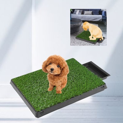 Hundetoilette Welpentoilette Kunstgras Hundeklo Klo 60 48 6cm