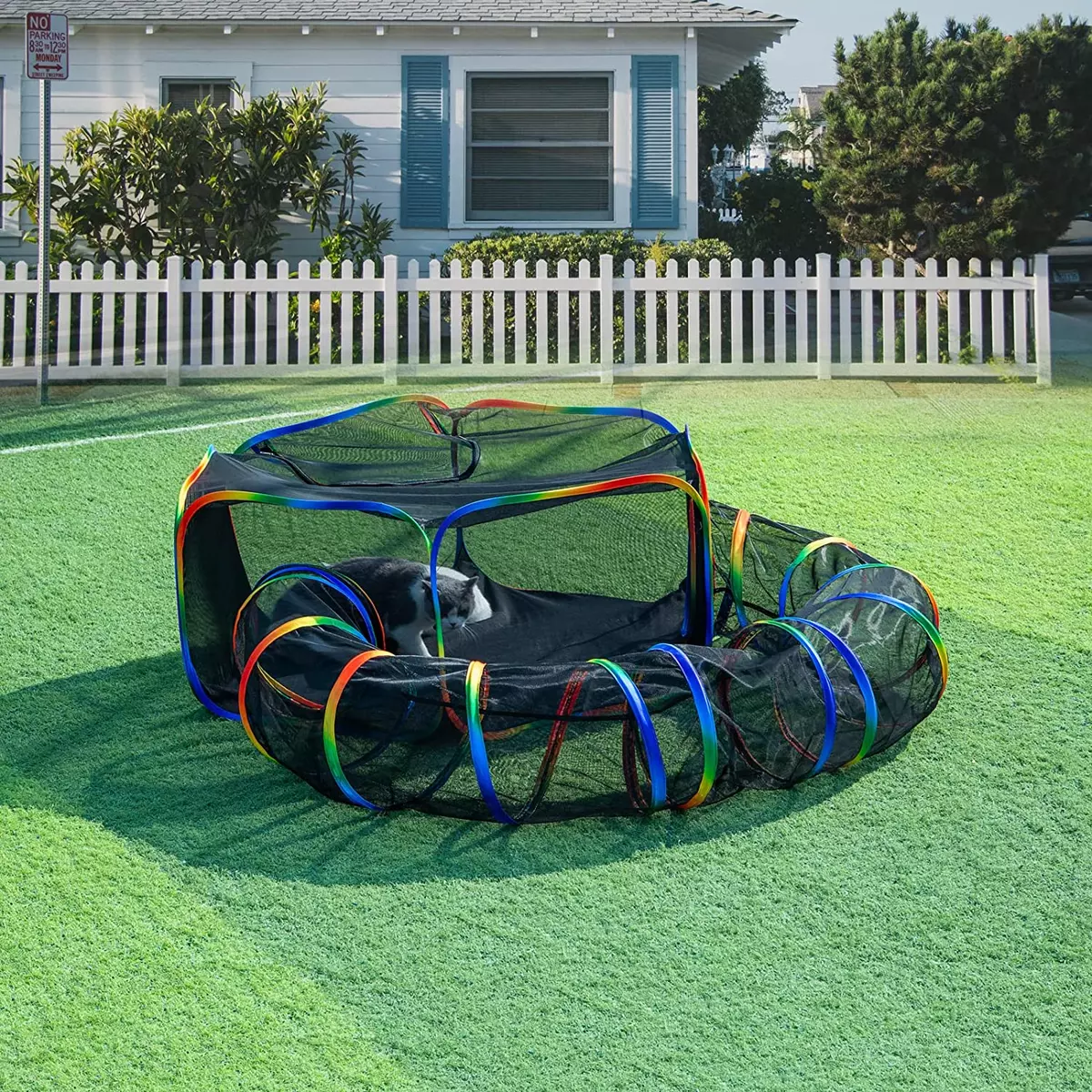 Cat tunnel and tent for cheap outside