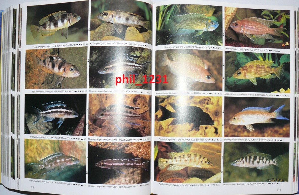 洋書　Dr. Axelrod's Atlas of 淡水観賞魚　大型本 Amazon.com: Dr. Axelrod's Atlas of Freshwater Aquarium