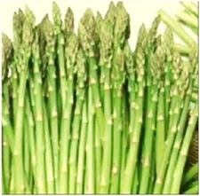 50 Mary Washington Asparagus Seeds | Non-GMO | Fresh Garden Seeds
