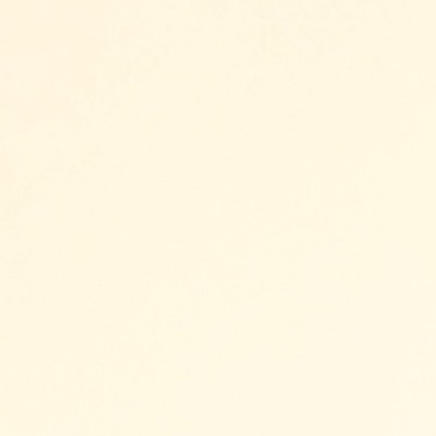 Strathmore 400 Series Drawing Paper Sheets 19x24'' 100 lb.