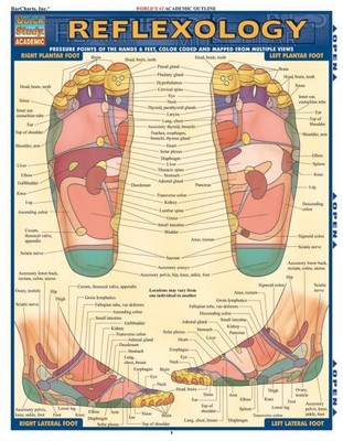 Fußreflexzonenmassage: Druckpunkte der Hände & Füße, farbcodiert & abgebildet aus...