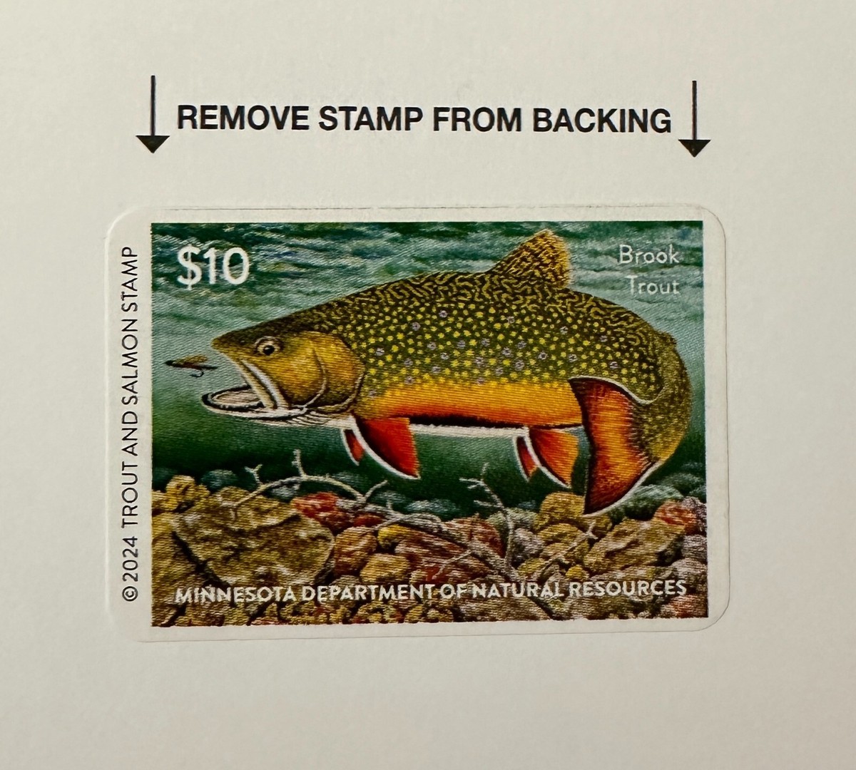 Timbre : 1972 PROTECTION DE LA NATURE SAUMON