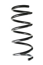 SPIDAN Fahrwerksfeder Hinterachse für FIAT