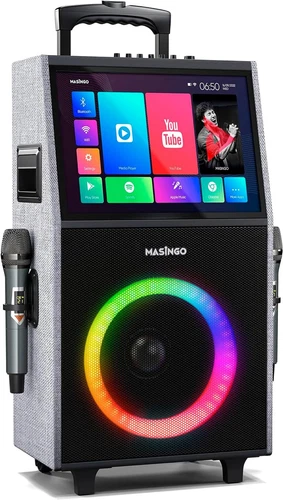 Professional Karaoke Machine with Lyrics Display Screen for Adults, 2 Wireless--