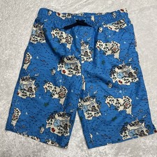 Lands  End Kids L 14-16 Boy Swimming Trunk Swim Short Island Mesh Lined NWOT OOP