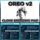 ARK ASA Ossidon Oreo Clone Breeding Pair  Top Stats - Official PVE PC/XBX/PS5