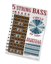 5 String Bass Fretboard Instructional Chart Poster LOOK Nashville Numbering Blue