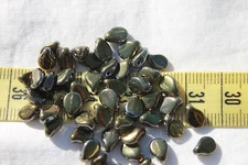 5x7mm Pip Preciosa Czech Glass Beads 57DP859-L Metallic Deep Brown  50pcs
