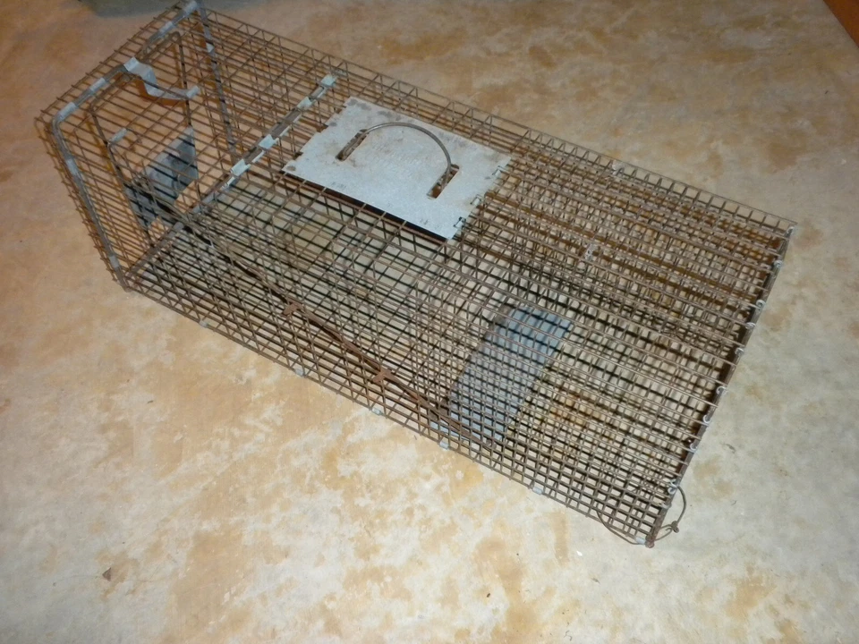 Trampa de captura y liberación humana animal vivo Havahart medidas externas 32" x 12" x 11" Foto 3 de 4