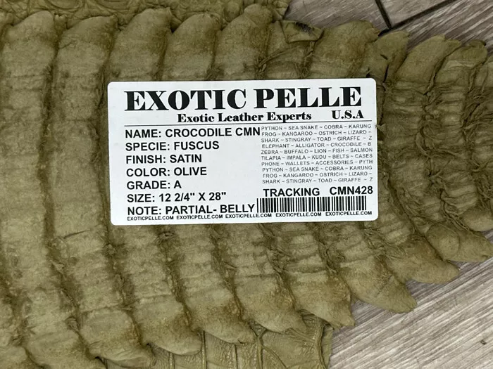 Oliva Genuino Caimán Cocodrilo Vientre Piel Cuero Piel Caimán Real Cocodrilo 428 Foto 3 de 4