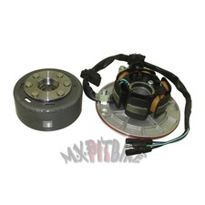 Kit Rotore Statore Magneto Senza Luce per YX 140cc 150cc 160cc Pit Dirt Bike Pitster