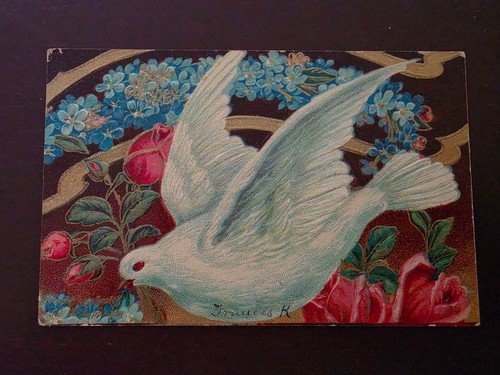 1913 Antique Birthday Postcard White Dove Roses Forget-Me-Nots Embossed German