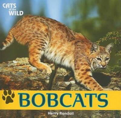 Bobcats (Cats of the Wild (Paperback)) - Paperback By Randall, Henry - GOOD