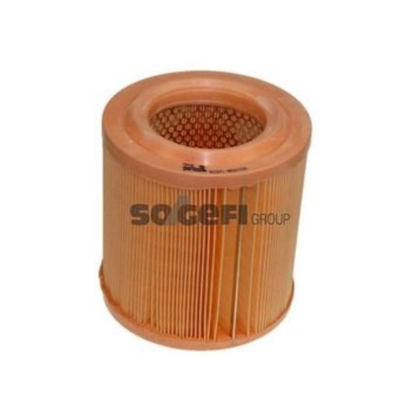 Purflux Luftfilter Filtereinsatz FüR Nissan NT400 Cabstar 35.14 45.14 35.13-image