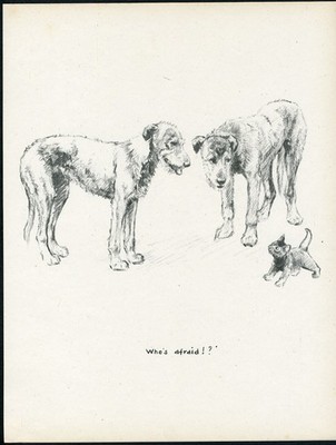 IRISH WOLFHOUND DOGS AND KITTEN VINTAGE 1937 DOG ART PRINT by ARTIST K F BARKER