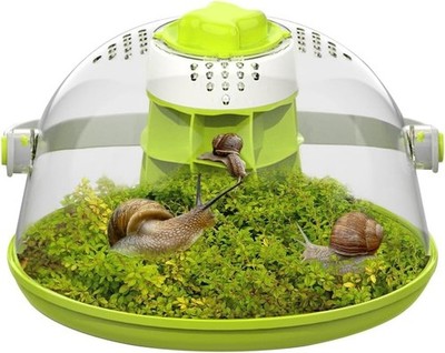 Snail Terrariums Breeding Box, Round Habitat Starter Terrarium Kit, Transpare...
