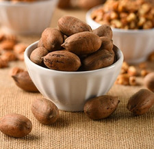 Georgia Pecans In-Shell 5 lb Fresh Natural Snack Nutty Flavor High Quality