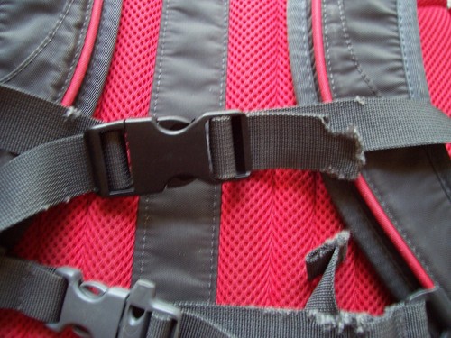 The North Face Borealis Backpack Red and Gray - 第 5/12 張圖片