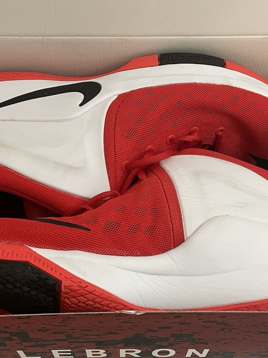 lebron james shoes used