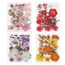 80 Pcs Dried Pressed Flower Leaves Bulk for Resin, Warm Colors