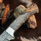 8.4" inch Damascus Steel Hunting Knife Full Tang Resin Handle Leather Sheath — photo 3