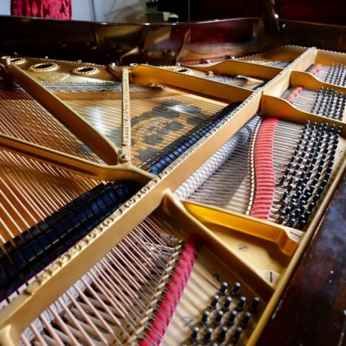 1905 Steinway & Sons Model B Grand Piano Rosewood |Sherwood Phoenix Pianos VIDEO - Picture 19 of 23